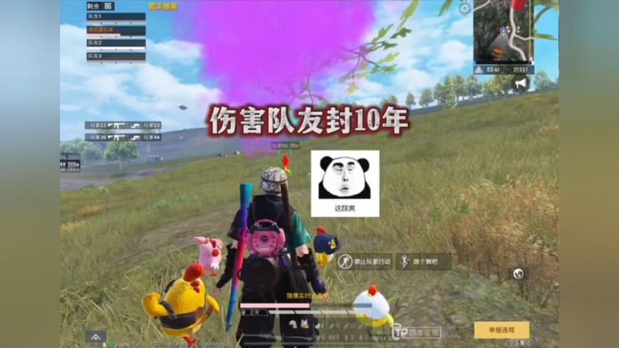为什么要开和平精英辅助？